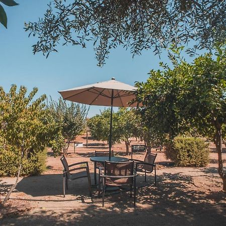 Hotel Castillo Ferrer Valle de Guadalupe Dış mekan fotoğraf