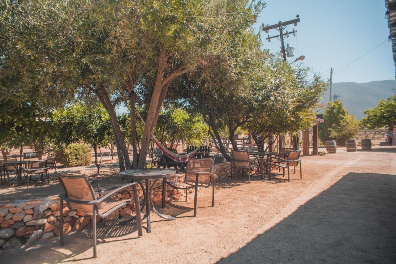Hotel Castillo Ferrer Valle de Guadalupe Dış mekan fotoğraf