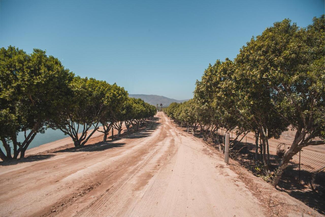 Hotel Castillo Ferrer Valle de Guadalupe Dış mekan fotoğraf