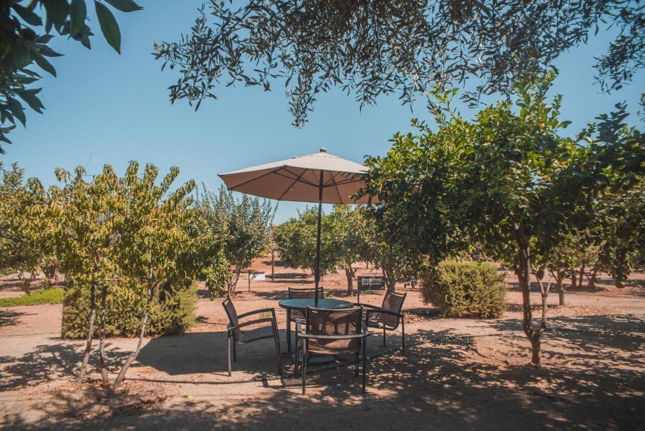 Hotel Castillo Ferrer Valle de Guadalupe Dış mekan fotoğraf