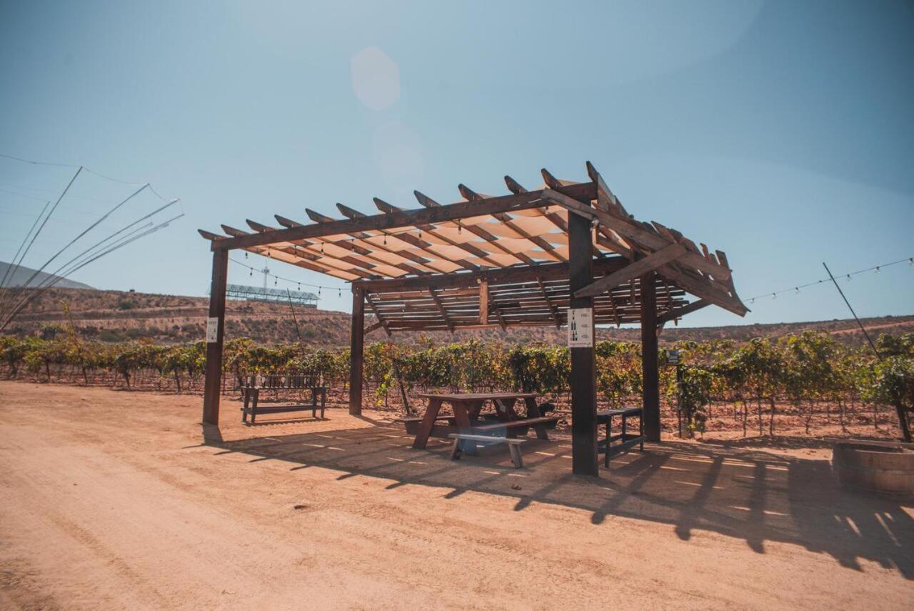 Hotel Castillo Ferrer Valle de Guadalupe Dış mekan fotoğraf